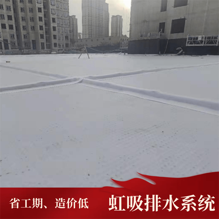 H14高分子虹吸异形排水板